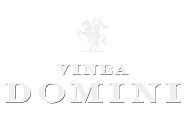 logo vinea domini logo vinea domini