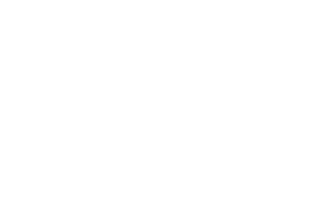 unipegaso Logo unipegaso