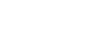 logo-insieme-w logo insieme